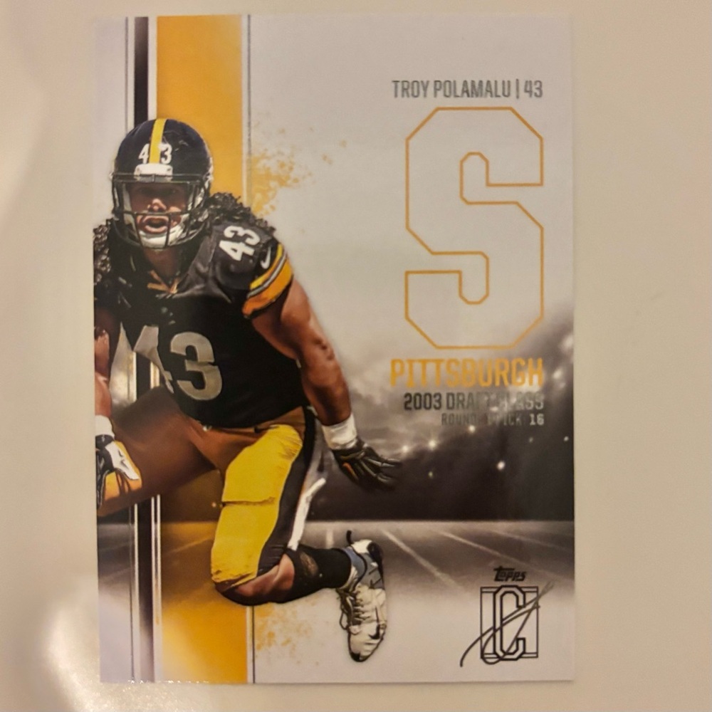 Troy Polamalu Pittsburgh Steelers Trading Card